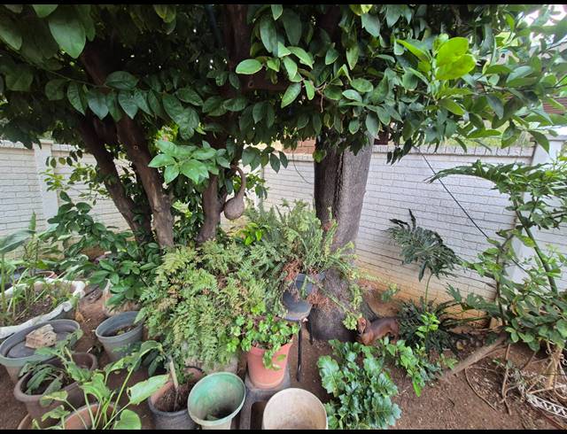2 BEDROOM TOWNHOUSE FOR SALE IN VANDERBIJLPARK SE 3